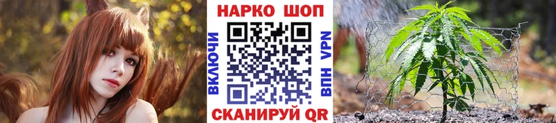 Виды наркоты Гаджиево Кокаин  блэк спрут ТОР  Гашиш  Меф мяу мяу  Амфетамин 