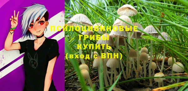 spice Баксан