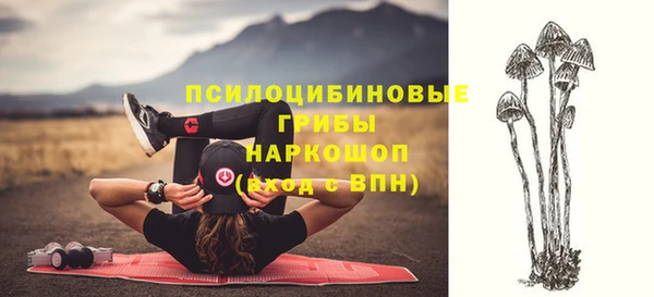 spice Баксан