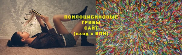 spice Баксан