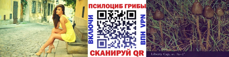магазин  наркотиков  Гаджиево  Псилоцибиновые грибы Psilocybe 